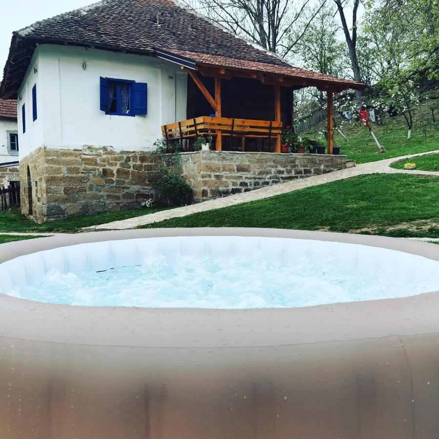 Stara Etno Kuca Radonjic Villa Guca Bagian luar foto