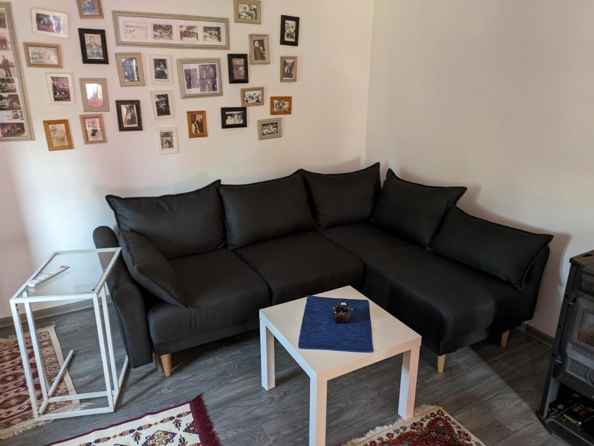 Stara Etno Kuca Radonjic Villa Guca Bagian luar foto