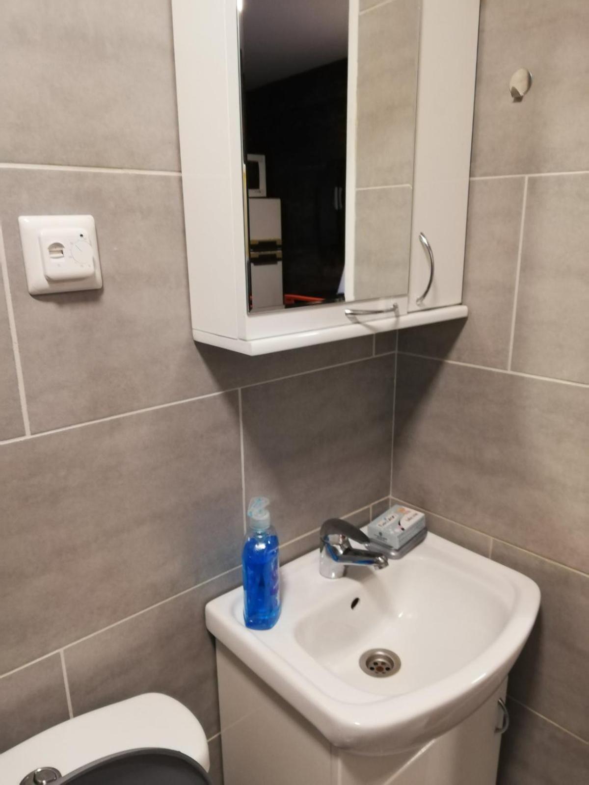Stara Etno Kuca Radonjic Villa Guca Ruang foto