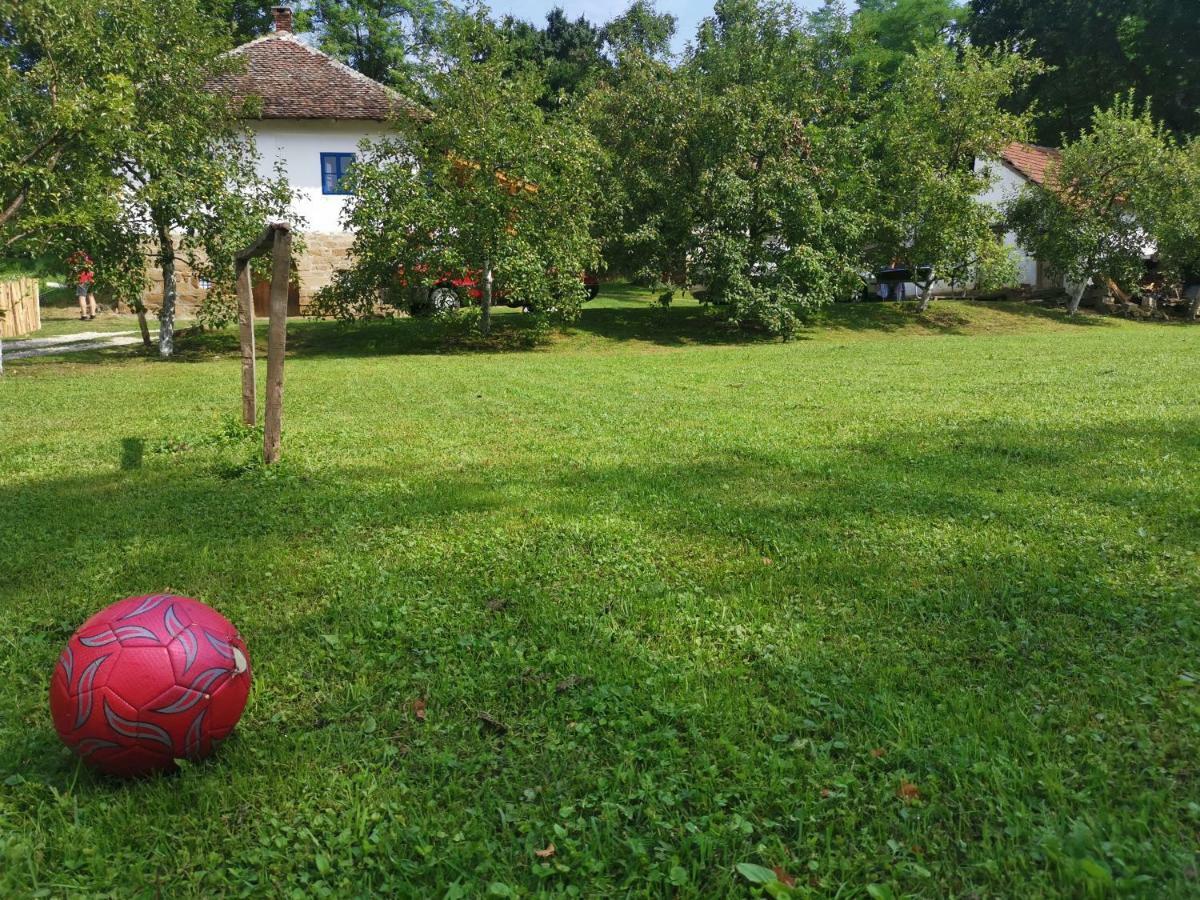 Stara Etno Kuca Radonjic Villa Guca Bagian luar foto