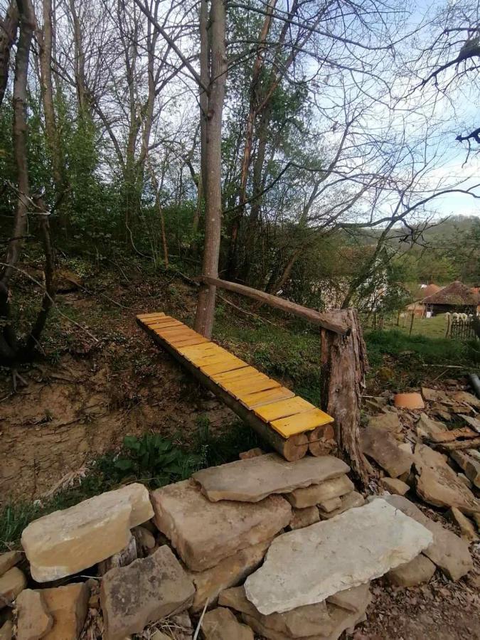 Stara Etno Kuca Radonjic Villa Guca Bagian luar foto